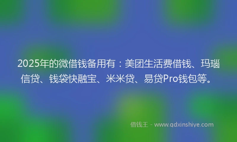 2025年的微借钱备用有：美团生活费借钱、玛瑙信贷、钱袋快融宝、米米贷、易贷Pro钱包等。