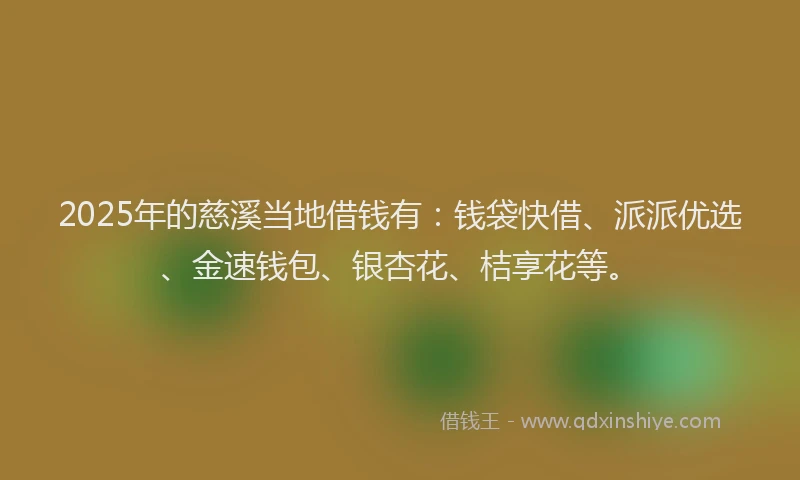 2025年的慈溪当地借钱有：钱袋快借、派派优选、金速钱包、银杏花、桔享花等。