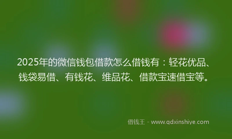 2025年的微信钱包借款怎么借钱有：轻花优品、钱袋易借、有钱花、维品花、借款宝速借宝等。