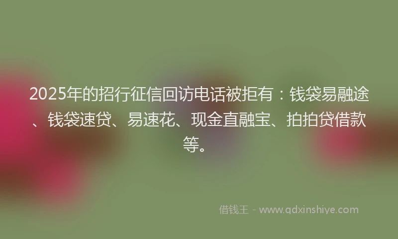 2025年的招行征信回访电话被拒有：钱袋易融途、钱袋速贷、易速花、现金直融宝、拍拍贷借款等。