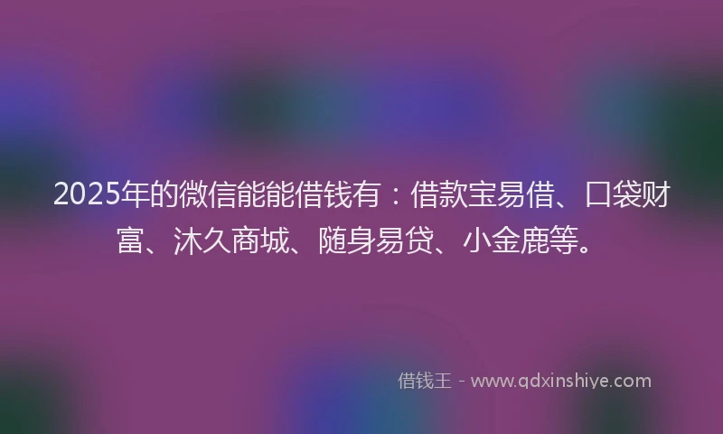 2025年的微信能能借钱有：借款宝易借、口袋财富、沐久商城、随身易贷、小金鹿等。