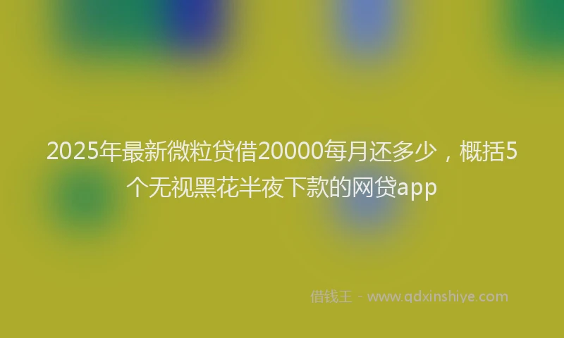 2025年最新微粒贷借20000每月还多少，概括5个无视黑花半夜下款的网贷app