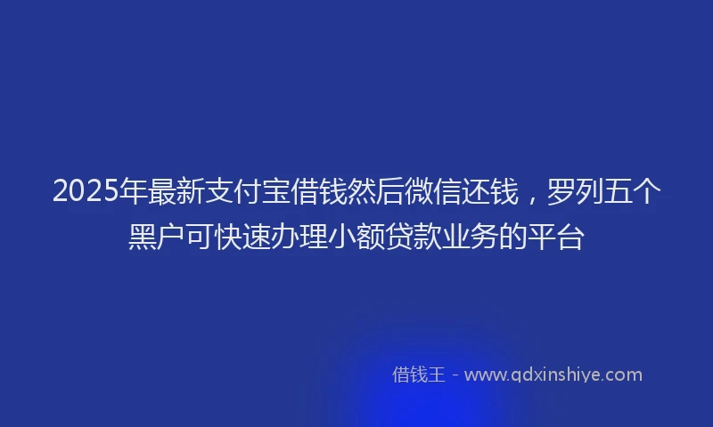 2025年最新支付宝借钱然后微信还钱，罗列五个黑户可快速办理小额贷款业务的平台
