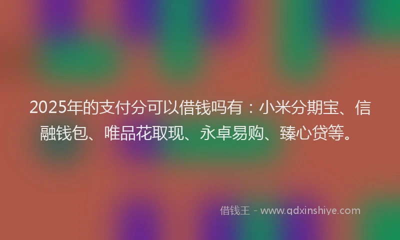 2025年的支付分可以借钱吗有：小米分期宝、信融钱包、唯品花取现、永卓易购、臻心贷等。