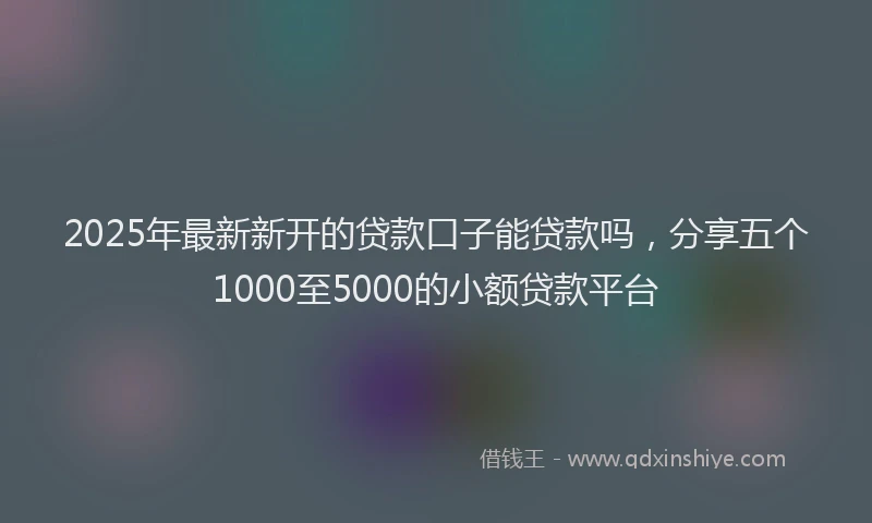 2025年最新新开的贷款口子能贷款吗，分享五个1000至5000的小额贷款平台