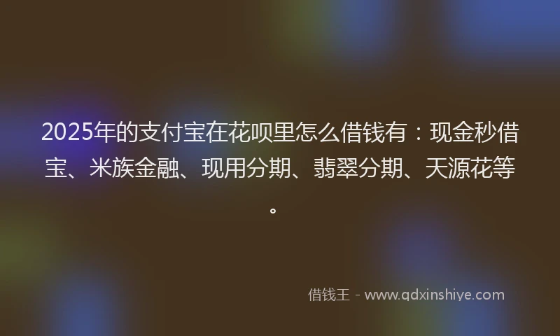 2025年的支付宝在花呗里怎么借钱有：现金秒借宝、米族金融、现用分期、翡翠分期、天源花等。