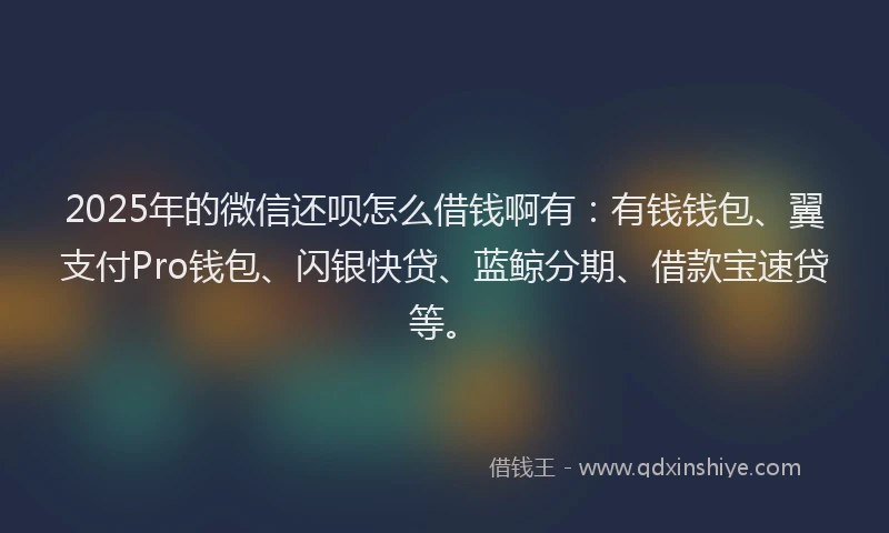 2025年的微信还呗怎么借钱啊有：有钱钱包、翼支付Pro钱包、闪银快贷、蓝鲸分期、借款宝速贷等。