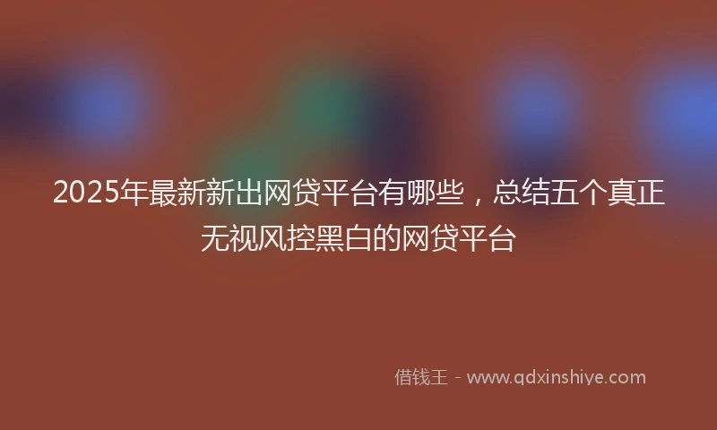 2025年最新新出网贷平台有哪些，总结五个真正无视风控黑白的网贷平台