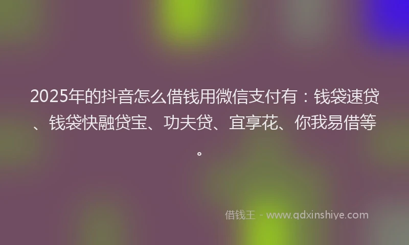 2025年的抖音怎么借钱用微信支付有：钱袋速贷、钱袋快融贷宝、功夫贷、宜享花、你我易借等。