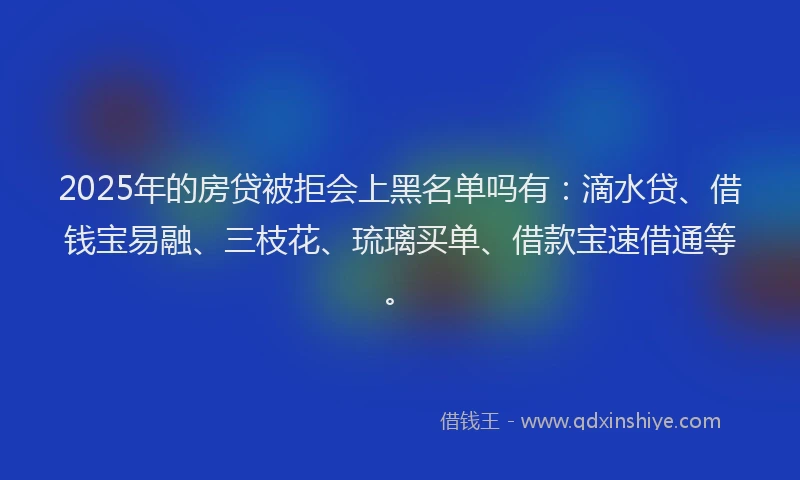 2025年的房贷被拒会上黑名单吗有：滴水贷、借钱宝易融、三枝花、琉璃买单、借款宝速借通等。