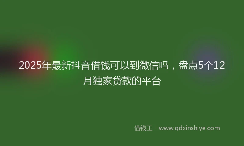 2025年最新抖音借钱可以到微信吗，盘点5个12月独家贷款的平台