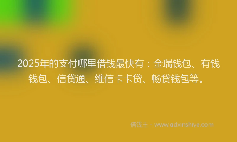 2025年的支付哪里借钱最快有：金瑞钱包、有钱钱包、信贷通、维信卡卡贷、畅贷钱包等。