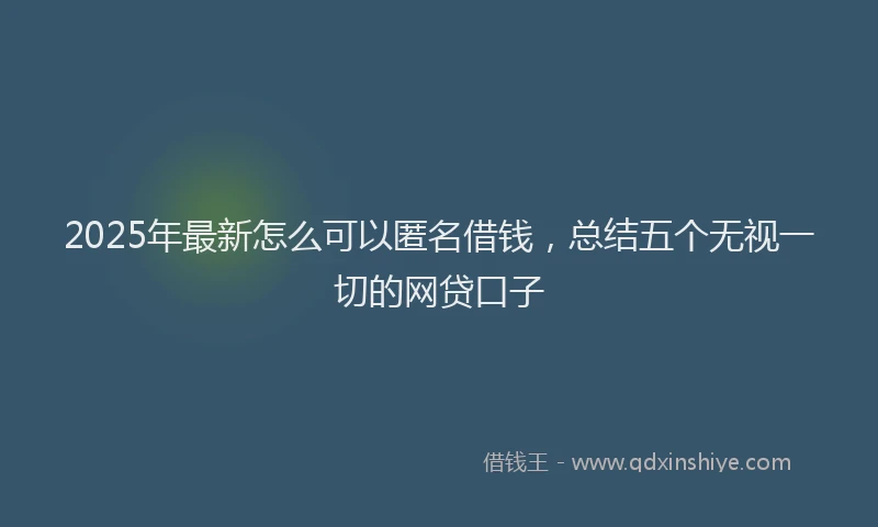 2025年最新怎么可以匿名借钱，总结五个无视一切的网贷口子