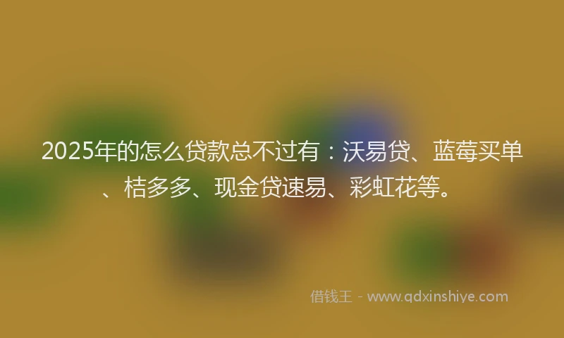 2025年的怎么贷款总不过有：沃易贷、蓝莓买单、桔多多、现金贷速易、彩虹花等。