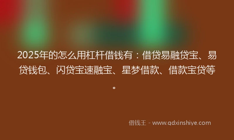 2025年的怎么用杠杆借钱有：借贷易融贷宝、易贷钱包、闪贷宝速融宝、星梦借款、借款宝贷等。