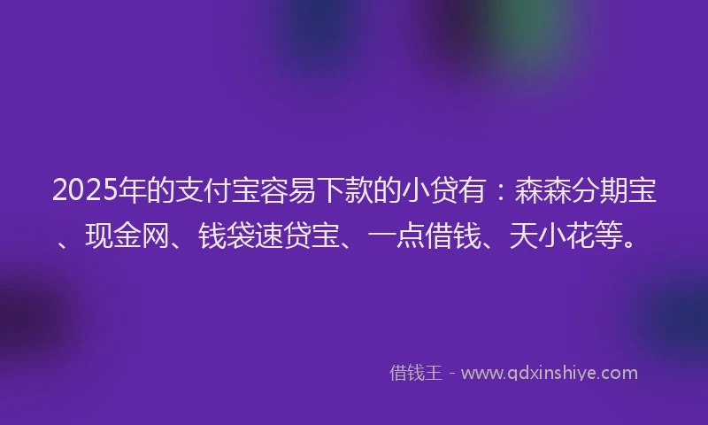 2025年的支付宝容易下款的小贷有：森森分期宝、现金网、钱袋速贷宝、一点借钱、天小花等。