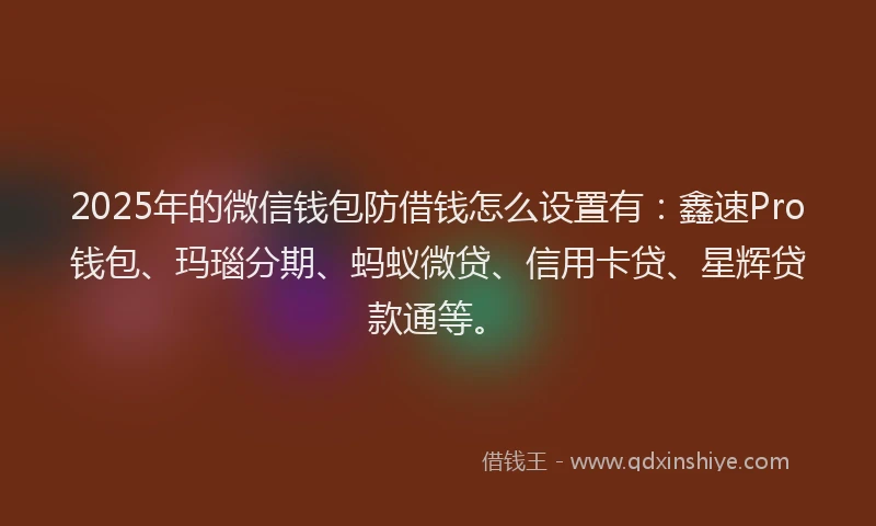 2025年的微信钱包防借钱怎么设置有：鑫速Pro钱包、玛瑙分期、蚂蚁微贷、信用卡贷、星辉贷款通等。