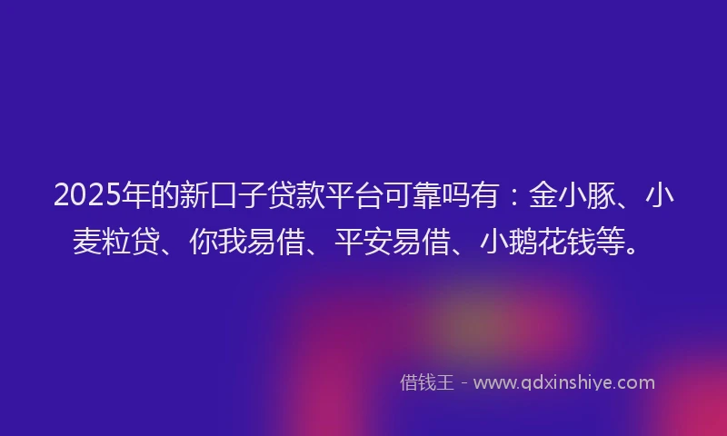 2025年的新口子贷款平台可靠吗有：金小豚、小麦粒贷、你我易借、平安易借、小鹅花钱等。