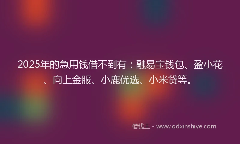 2025年的急用钱借不到有：融易宝钱包、盈小花、向上金服、小鹿优选、小米贷等。
