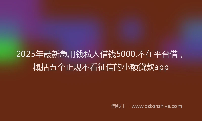 2025年最新急用钱私人借钱5000,不在平台借，概括五个正规不看征信的小额贷款app