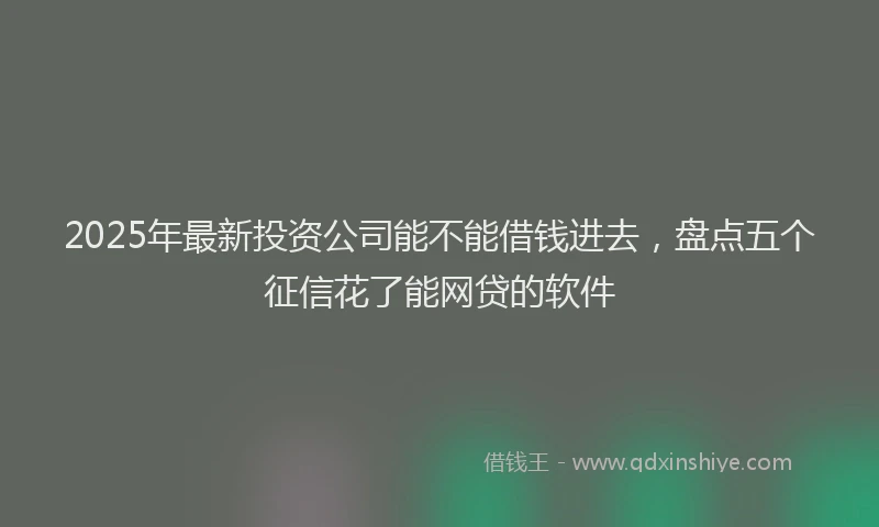 2025年最新投资公司能不能借钱进去，盘点五个征信花了能网贷的软件