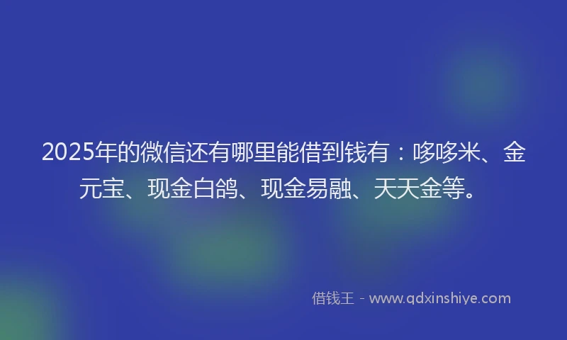 2025年的微信还有哪里能借到钱有：哆哆米、金元宝、现金白鸽、现金易融、天天金等。