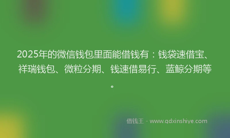 2025年的微信钱包里面能借钱有：钱袋速借宝、祥瑞钱包、微粒分期、钱速借易行、蓝鲸分期等。