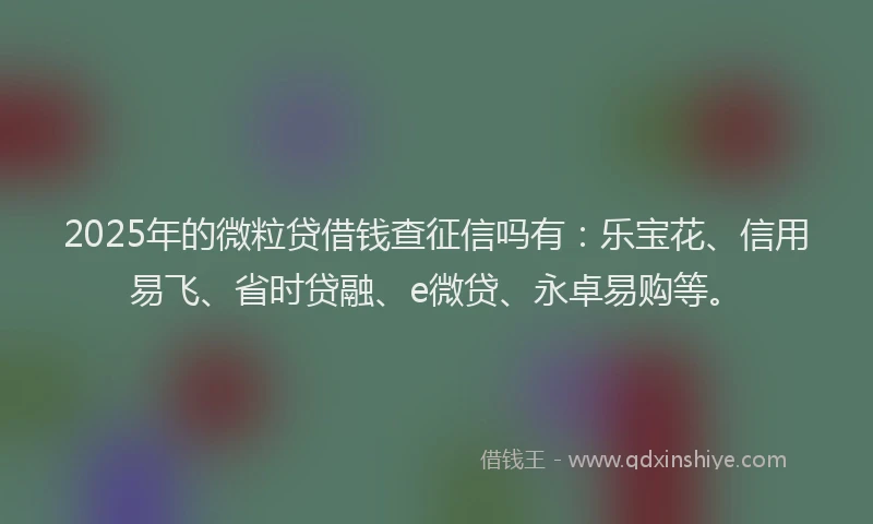 2025年的微粒贷借钱查征信吗有：乐宝花、信用易飞、省时贷融、e微贷、永卓易购等。