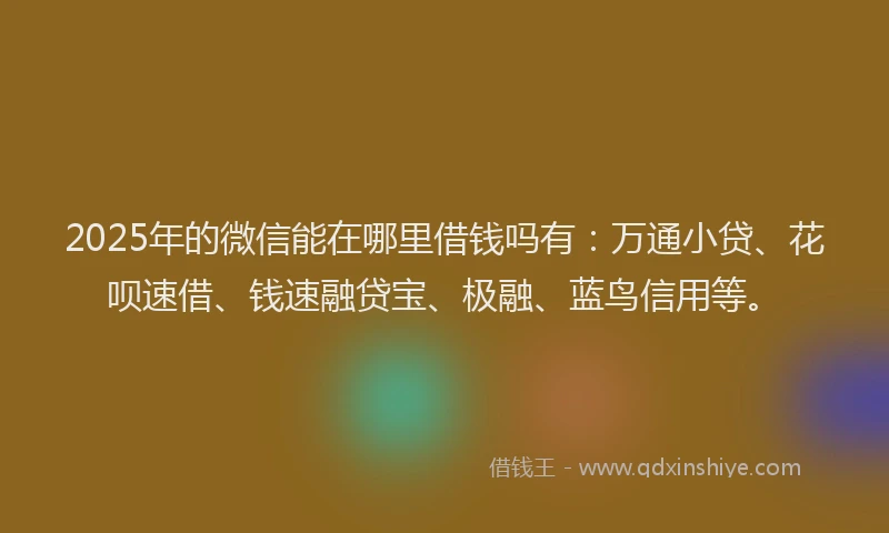 2025年的微信能在哪里借钱吗有：万通小贷、花呗速借、钱速融贷宝、极融、蓝鸟信用等。
