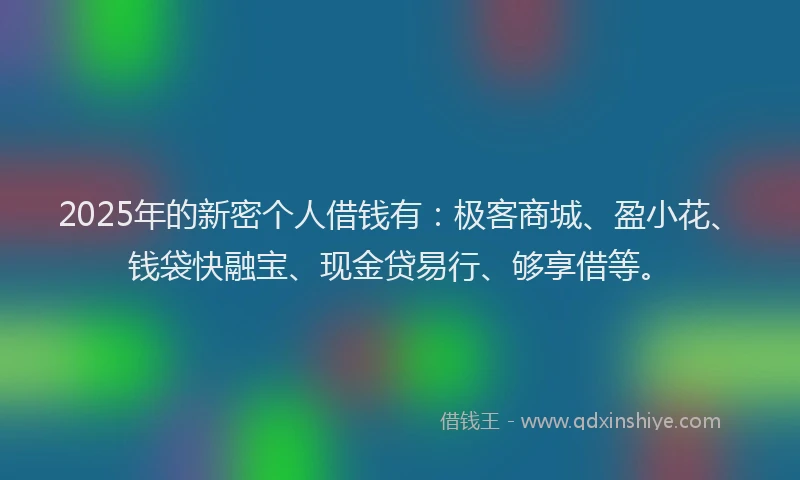 2025年的新密个人借钱有：极客商城、盈小花、钱袋快融宝、现金贷易行、够享借等。