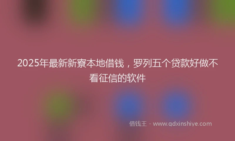 2025年最新新寮本地借钱，罗列五个贷款好做不看征信的软件