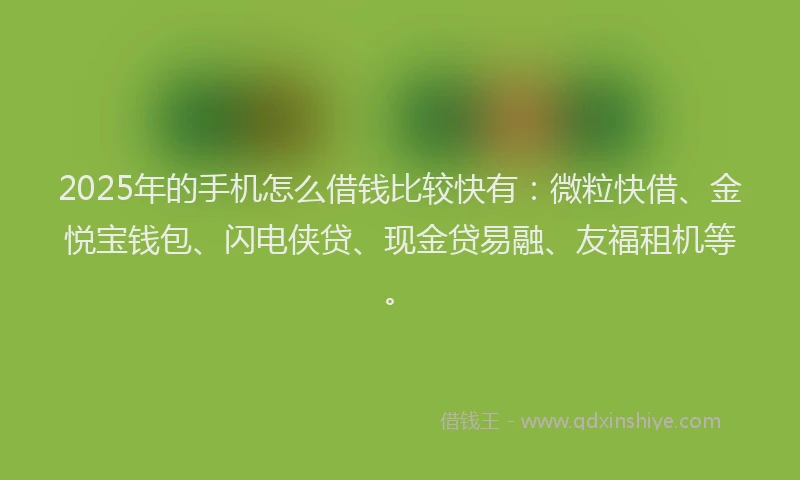 2025年的手机怎么借钱比较快有：微粒快借、金悦宝钱包、闪电侠贷、现金贷易融、友福租机等。