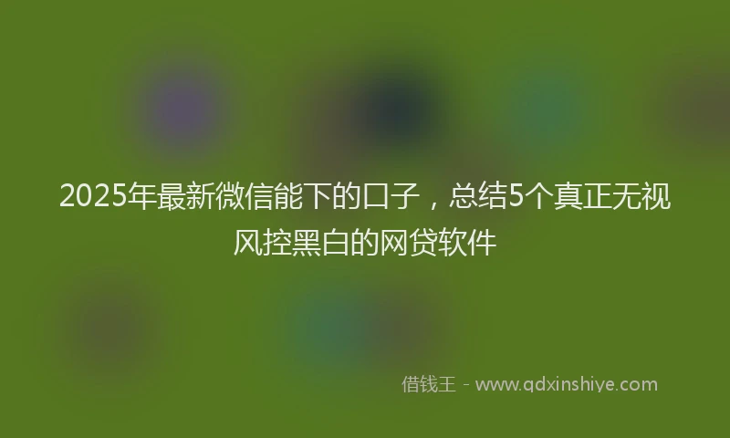 2025年最新微信能下的口子，总结5个真正无视风控黑白的网贷软件