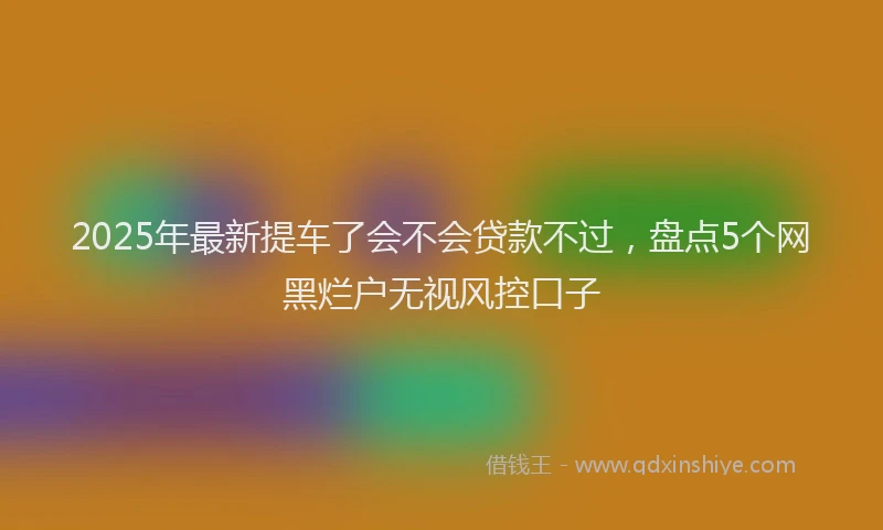 2025年最新提车了会不会贷款不过，盘点5个网黑烂户无视风控口子