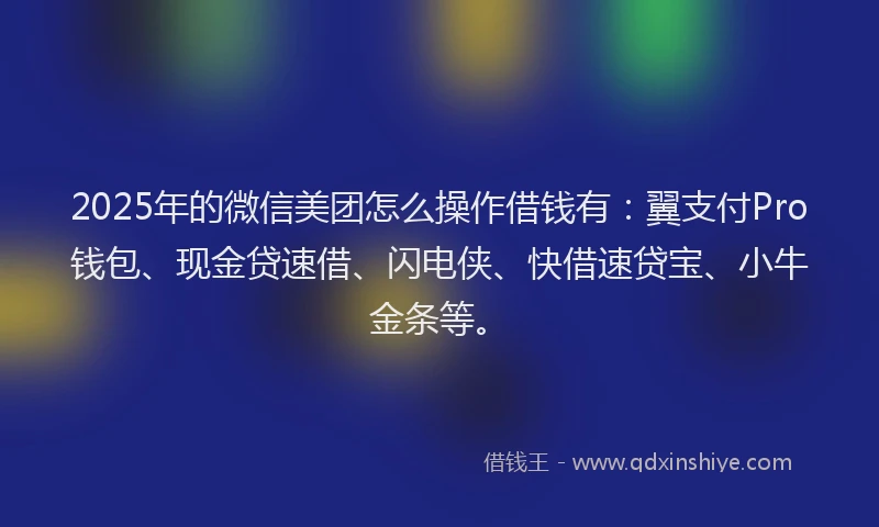 2025年的微信美团怎么操作借钱有：翼支付Pro钱包、现金贷速借、闪电侠、快借速贷宝、小牛金条等。
