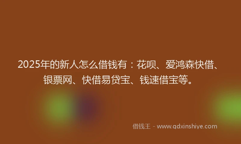 2025年的新人怎么借钱有：花呗、爱鸿森快借、银票网、快借易贷宝、钱速借宝等。