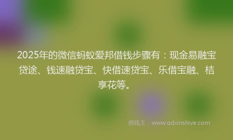 2025年的微信蚂蚁爱邦借钱步骤有：现金易融宝贷途、钱速融贷宝、快借速贷宝、乐借宝融、桔享花等。