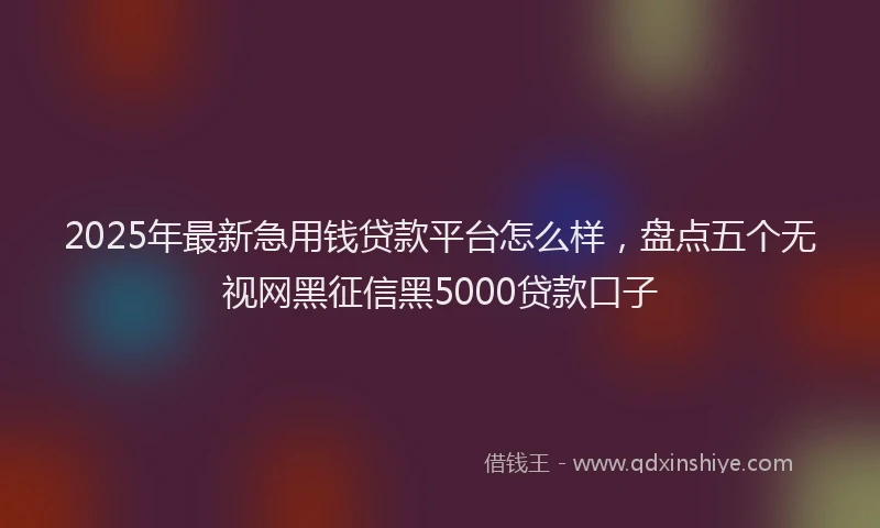 2025年最新急用钱贷款平台怎么样，盘点五个无视网黑征信黑5000贷款口子