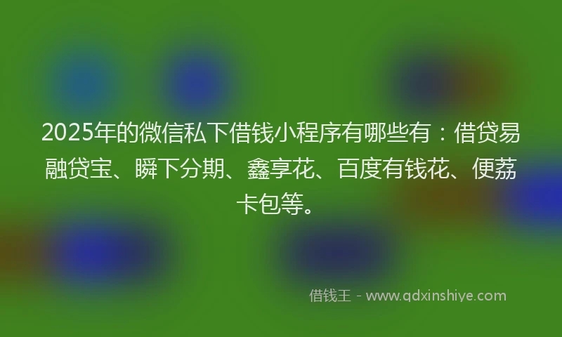 2025年的微信私下借钱小程序有哪些有：借贷易融贷宝、瞬下分期、鑫享花、百度有钱花、便荔卡包等。