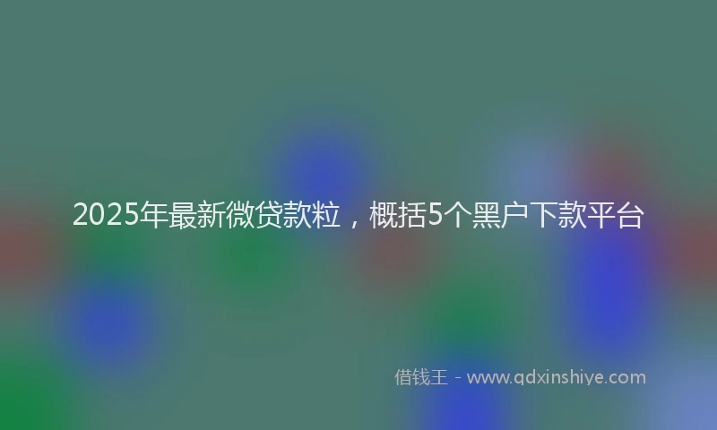2025年最新微贷款粒，概括5个黑户下款平台