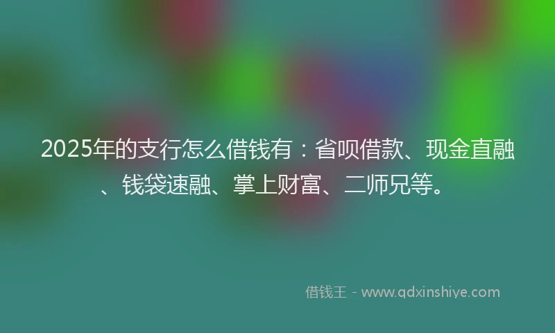 2025年的支行怎么借钱有：省呗借款、现金直融、钱袋速融、掌上财富、二师兄等。