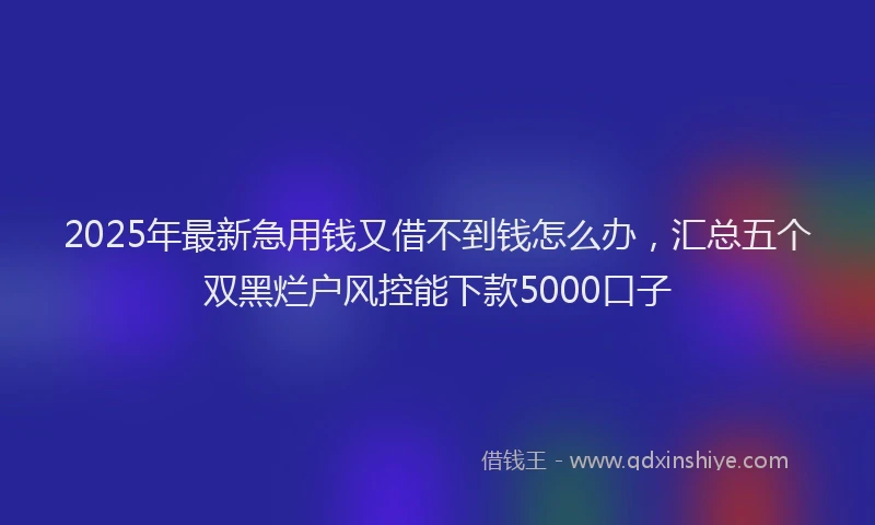 2025年最新急用钱又借不到钱怎么办，汇总五个双黑烂户风控能下款5000口子