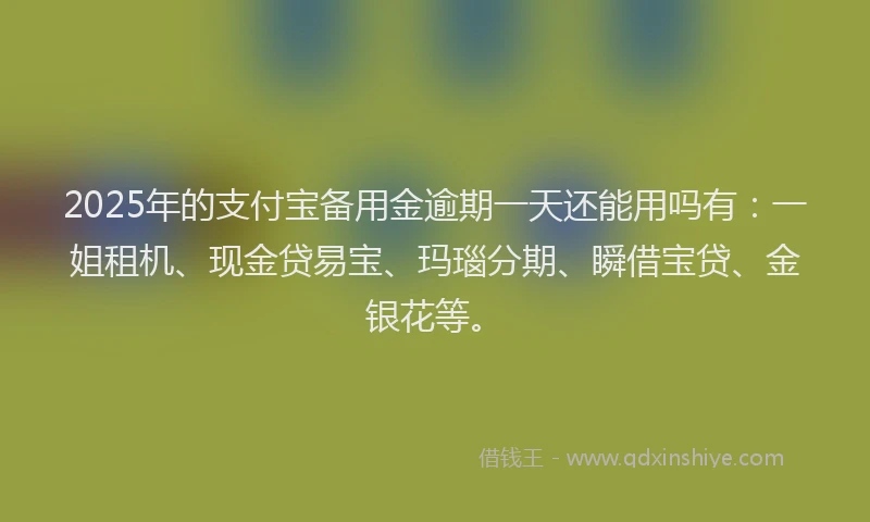 2025年的支付宝备用金逾期一天还能用吗有：一姐租机、现金贷易宝、玛瑙分期、瞬借宝贷、金银花等。