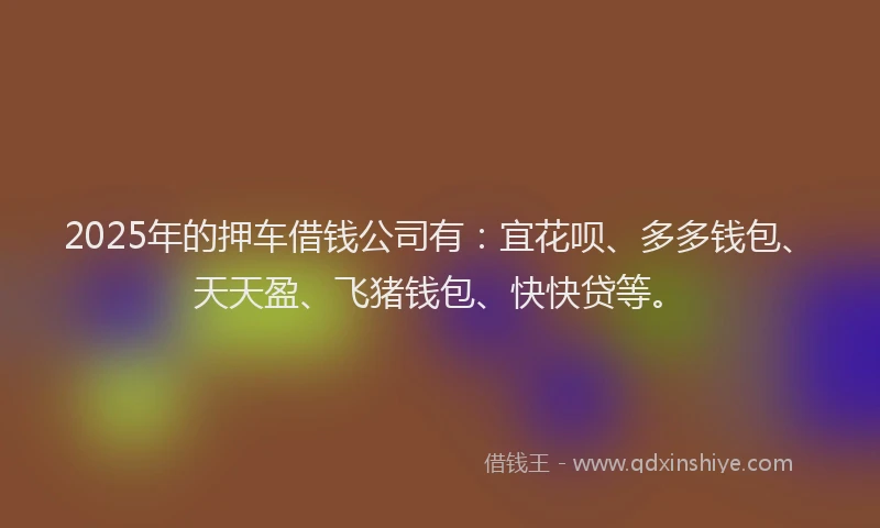 2025年的押车借钱公司有：宜花呗、多多钱包、天天盈、飞猪钱包、快快贷等。