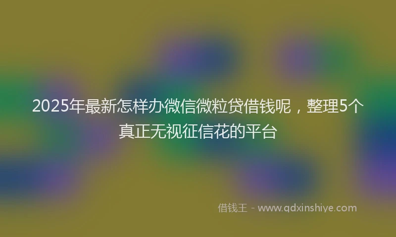 2025年最新怎样办微信微粒贷借钱呢，整理5个真正无视征信花的平台
