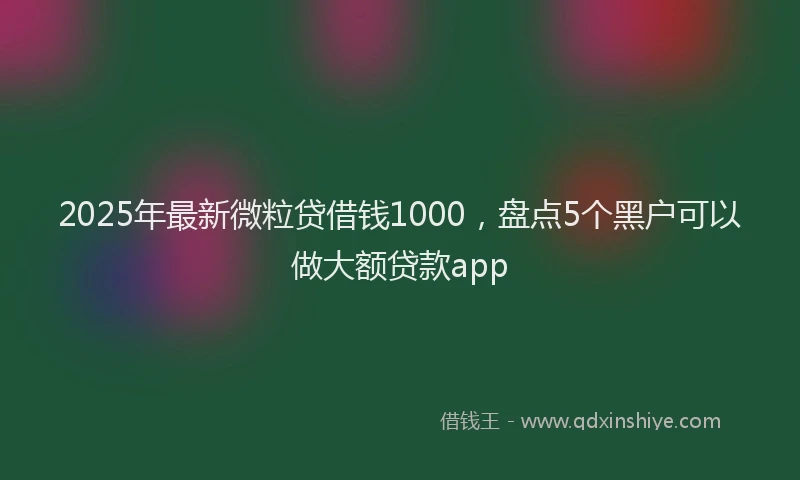 2025年最新微粒贷借钱1000，盘点5个黑户可以做大额贷款app
