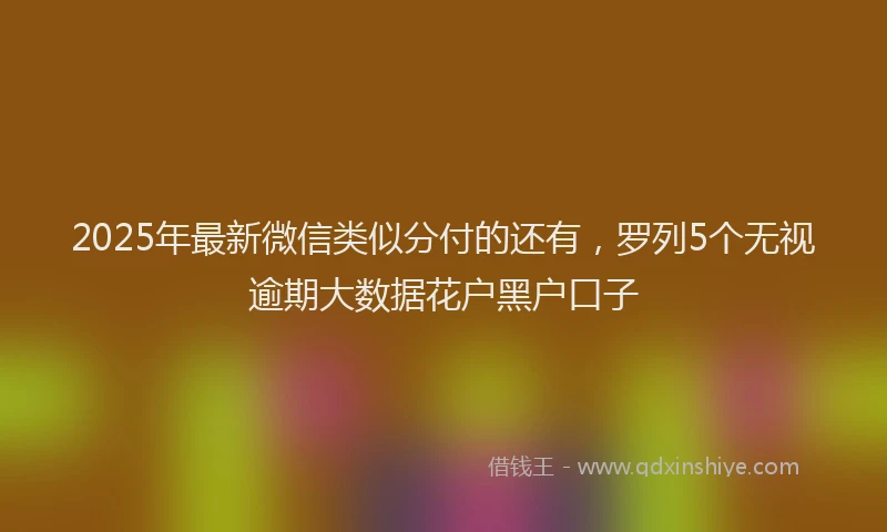 2025年最新微信类似分付的还有，罗列5个无视逾期大数据花户黑户口子