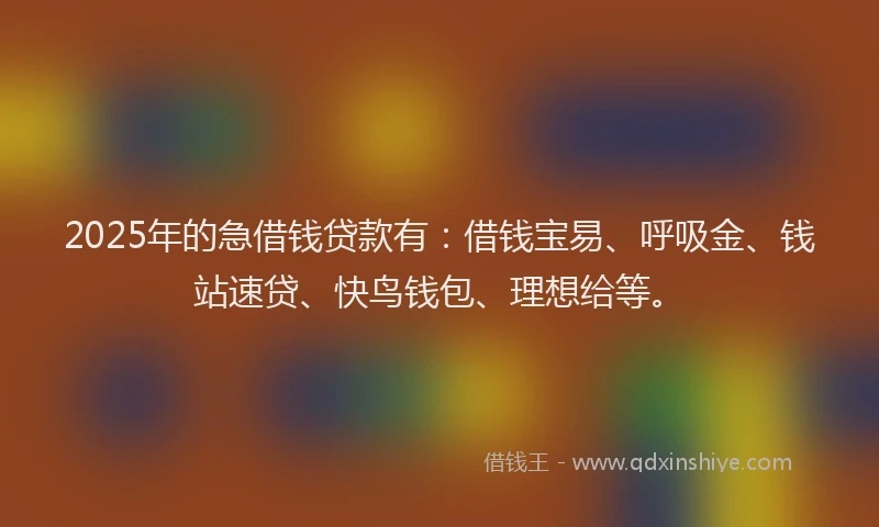 2025年的急借钱贷款有：借钱宝易、呼吸金、钱站速贷、快鸟钱包、理想给等。