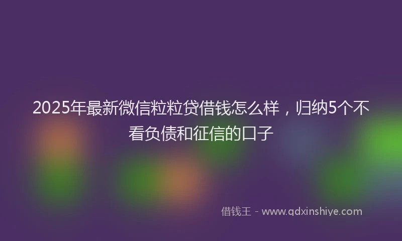 2025年最新微信粒粒贷借钱怎么样，归纳5个不看负债和征信的口子