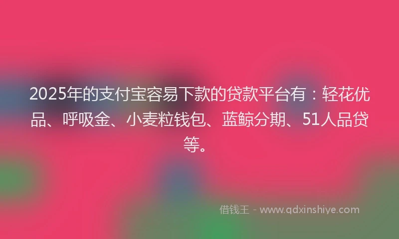 2025年的支付宝容易下款的贷款平台有：轻花优品、呼吸金、小麦粒钱包、蓝鲸分期、51人品贷等。